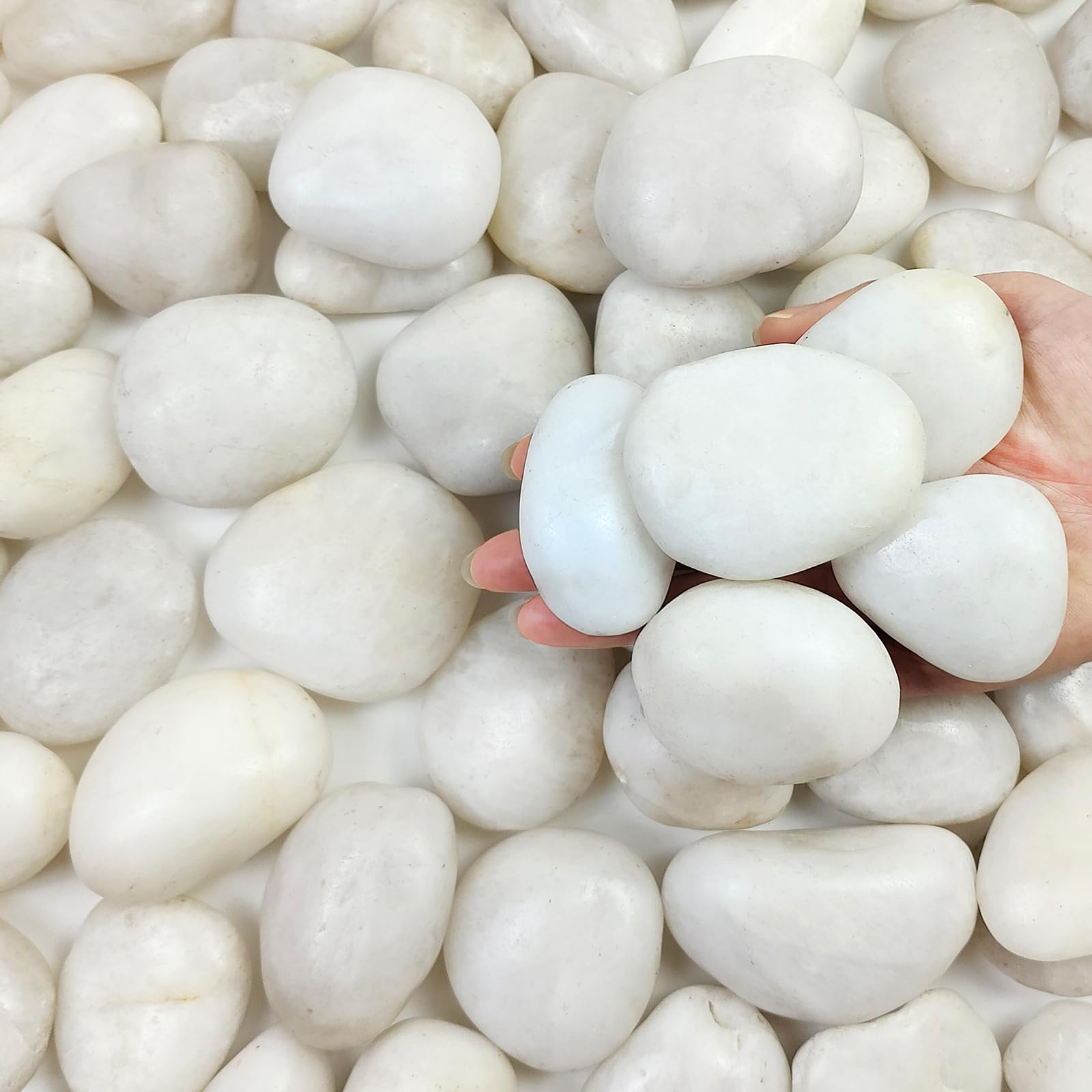 5 lbs Large White River Rocks, 2-3 inch Pebbles for Indoor Plants, Polished Decorative Stones for Planters Vase Aquarium and Outdoor Garden Landscaping Rocks