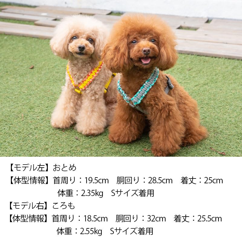 【 World】すのチル紛失防止♡カラーハーネス Amazon | バイカラーコードハーネス S Solgra-ソルグラ- 犬用