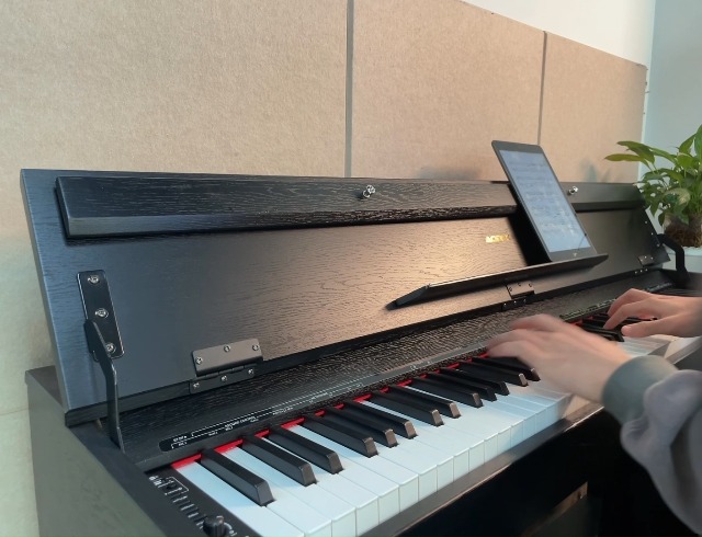 Amazon.com: AODSK 88-Key Weighted Hammer Action Digital