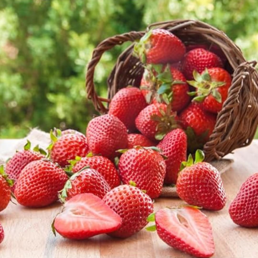 Strawberry Seeds for Home Garden, 70+ Seeds Pack-image-18