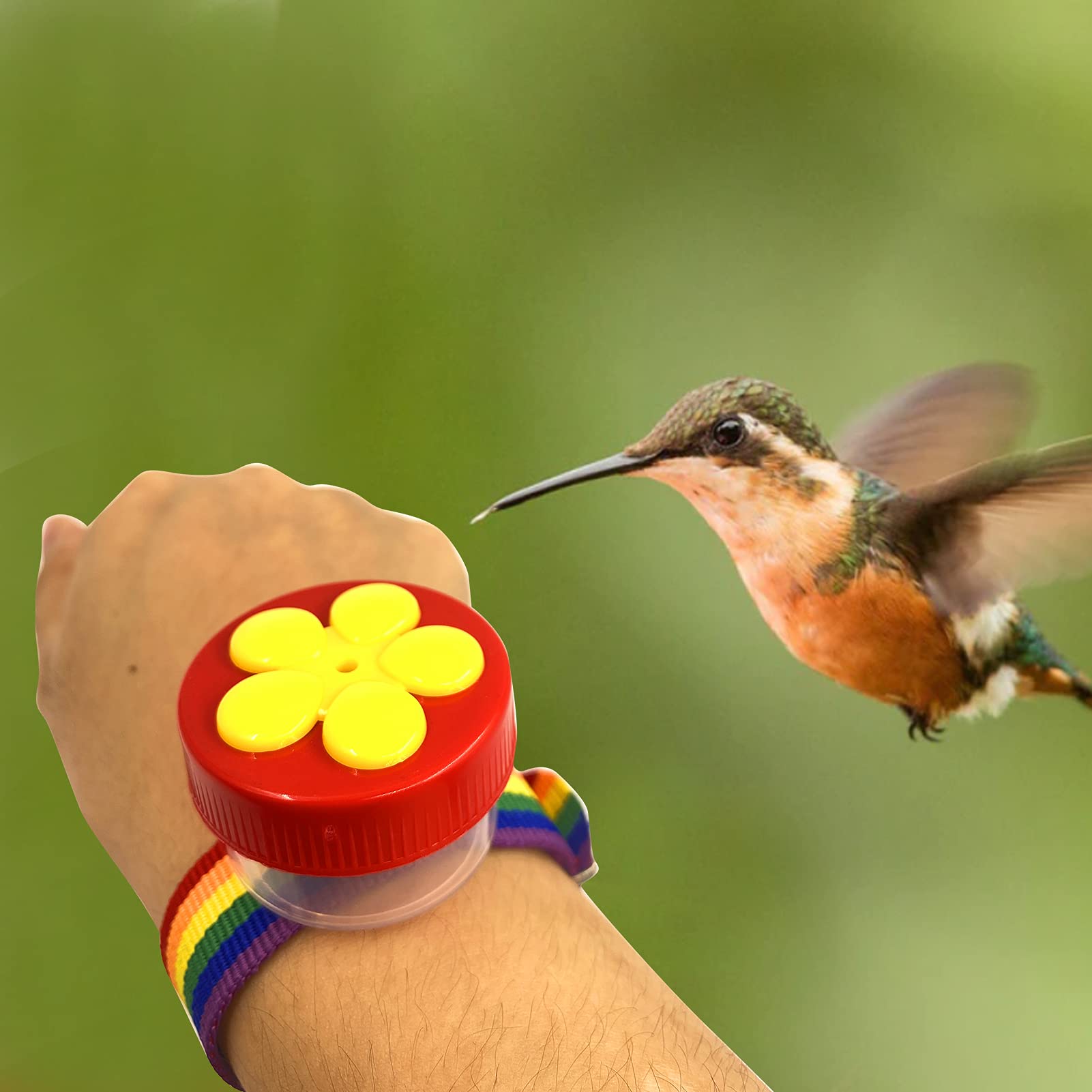 Handheld Hummingbird Feeders Ring Feeder Hummingbird Wrist Feeder