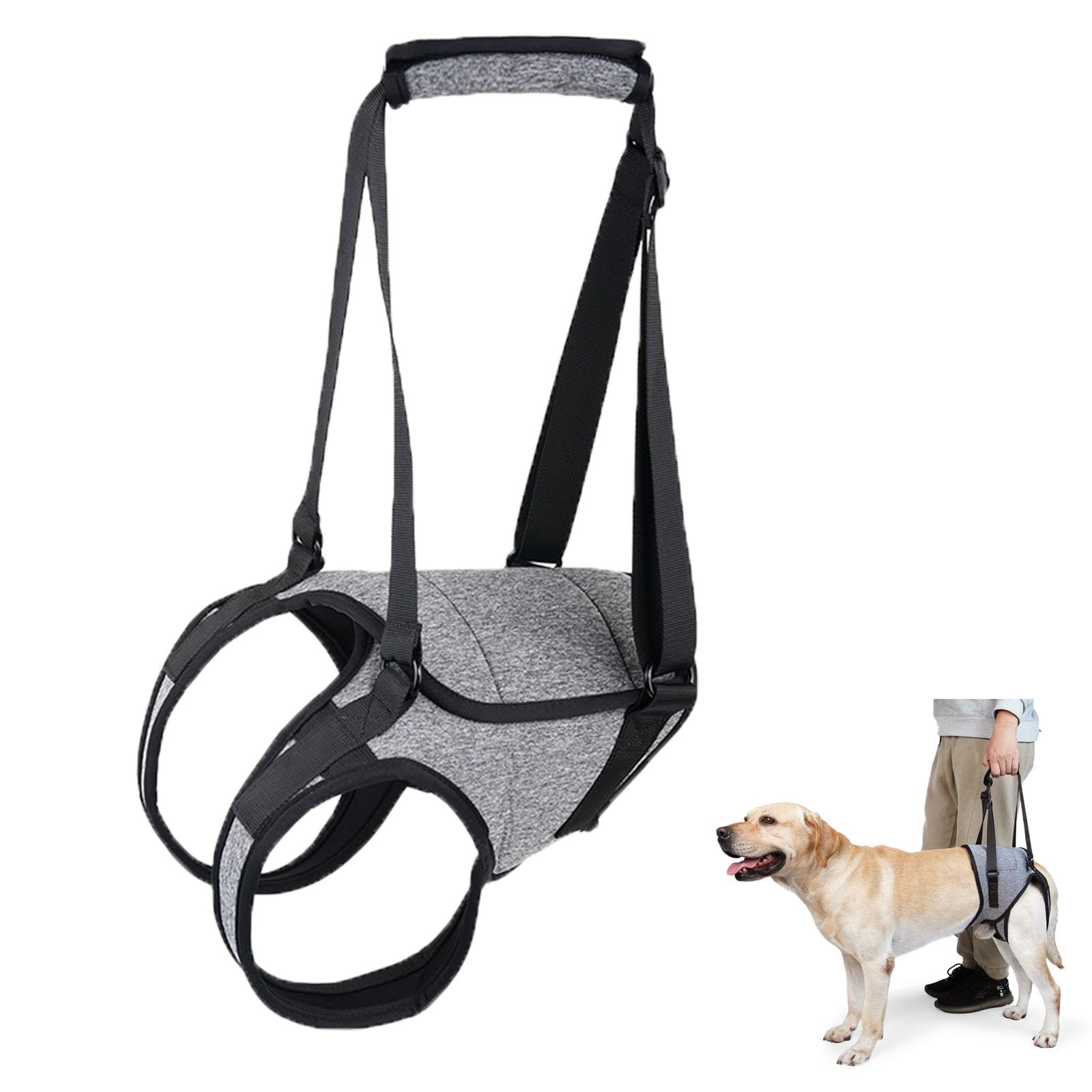 Imbracatura per Dog, Redipet per Cani, Tutore Zampa Posteriore Cane, Fascia per Sollevare Cani, Imbracatura per Dog, Harness Cane Zampe Posteriori, Disabili e Disabili. (S)