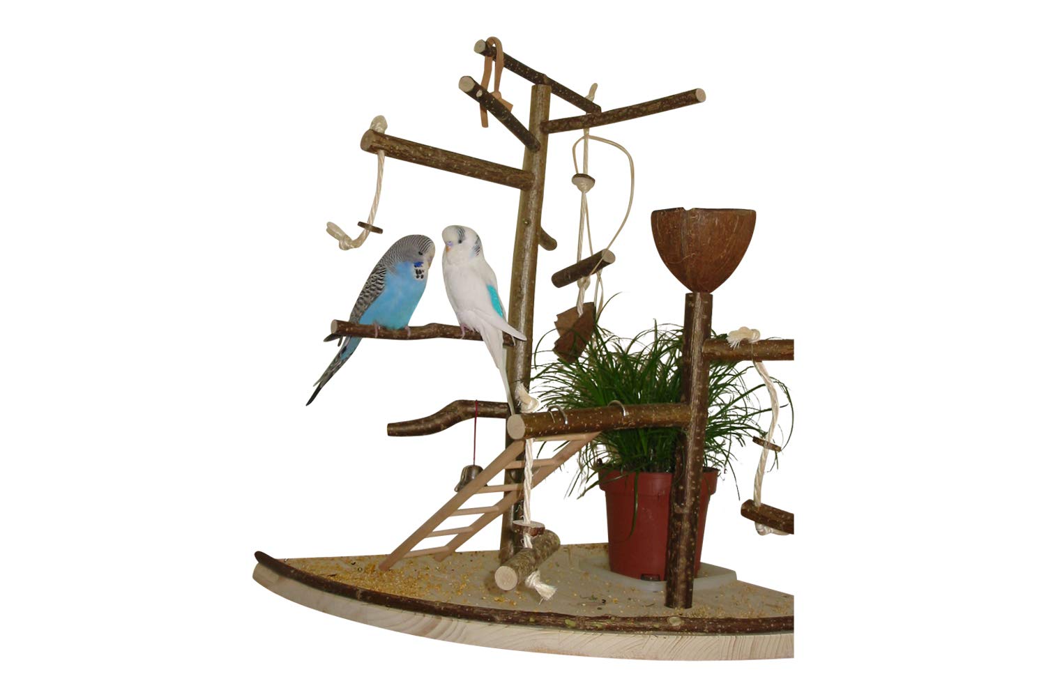 Vogelgaleria® Premium Vogelspielplatz groß für die Wand-Montage | 2 abnehmbare Natur Kletterbäume aus Holz, Kokosnuß Futternapf, Schaukel | Ideales Vogelzubehör für Wellensittiche Nymphensittich