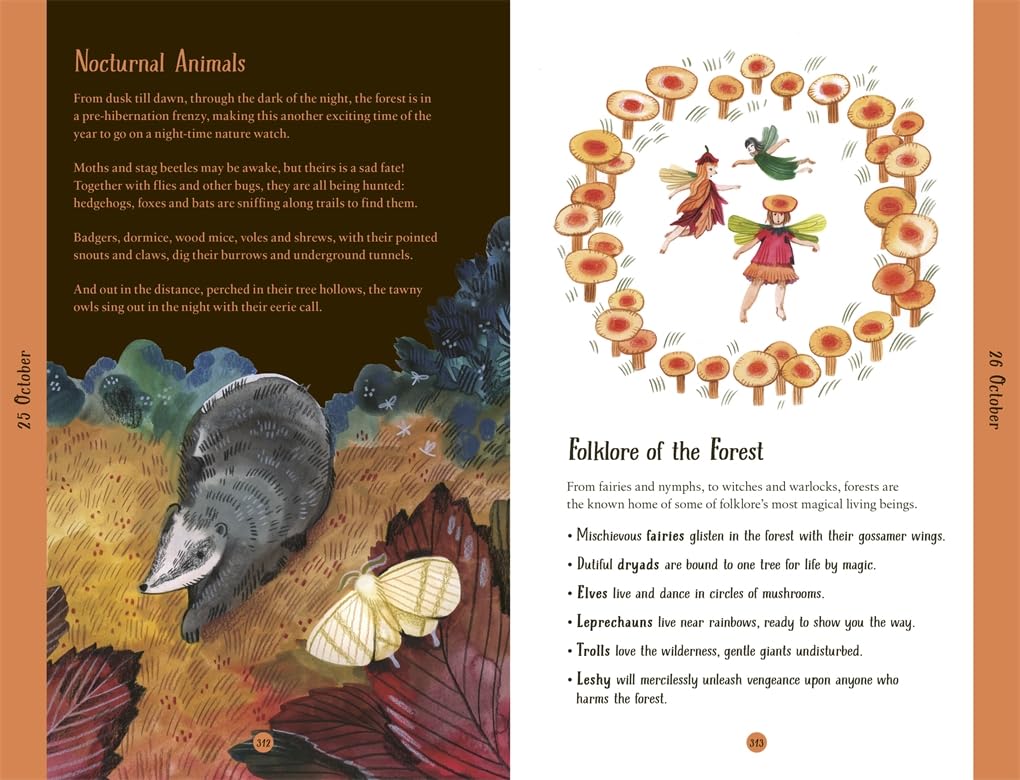 A Year in the Forest: 365 facts and activities to inspire you all year round