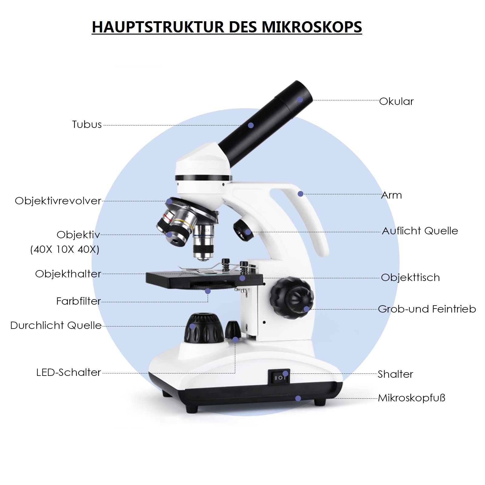 Slevoo Mikroskop für Kinder Studenten Anfänger 40X-1000X Kinder Mikroskop Auf- und DurchlichtMikroskop mit WF10x WF25x Okular & LED Beleuchtung, Studentenmikroskop Junior Mikroskop mit Objektträger