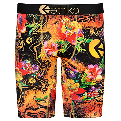 Ethika Mens Boxer Brief | Goldy Lox Zone (GLD, Medium)