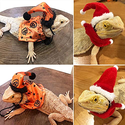 ADOGGYGO Bearded Dragon Halloween Hat Cloak Lizard Christmas Hat Scarf Set, Small Animal Halloween Christmas Festival… - Image 3