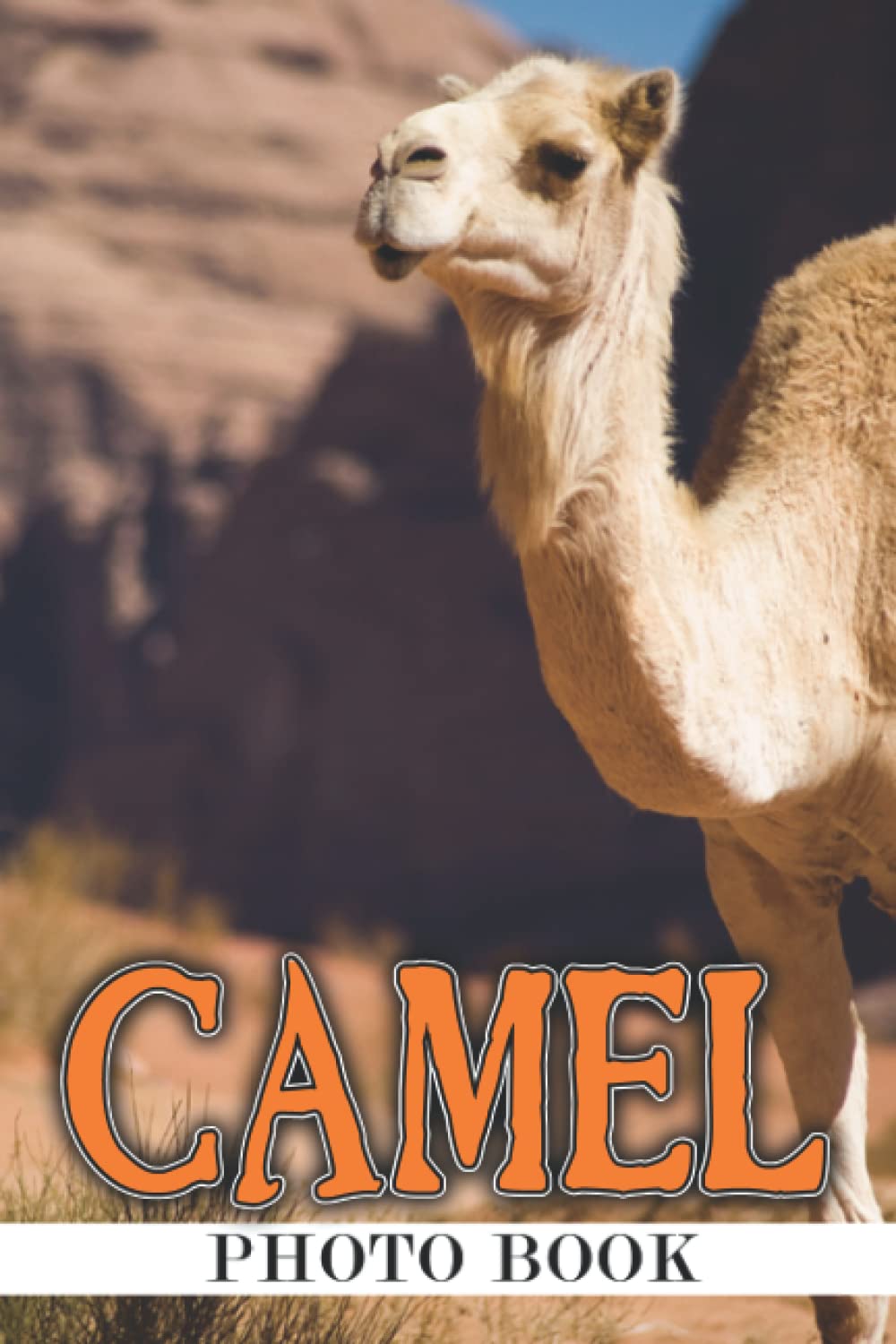 Camel Photo Book: Beautiful Colorful Pictures For All Ages To Relax And Unwind | Gift Idea For Birthday's Day