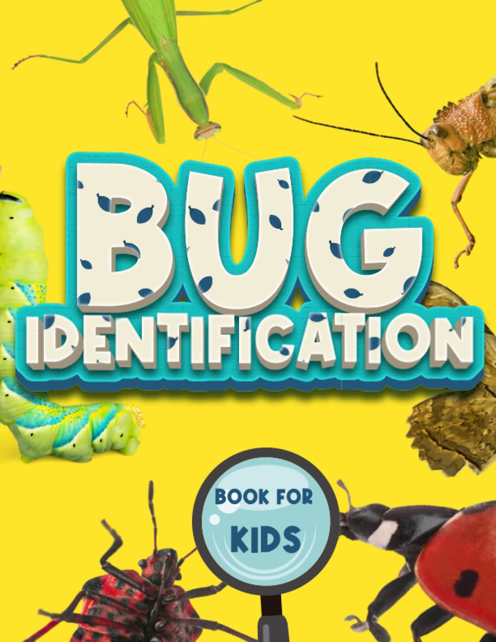 Bug Identification Book For Kids: Insect Hunting Book - Log Book to Record Bugs and Insects !