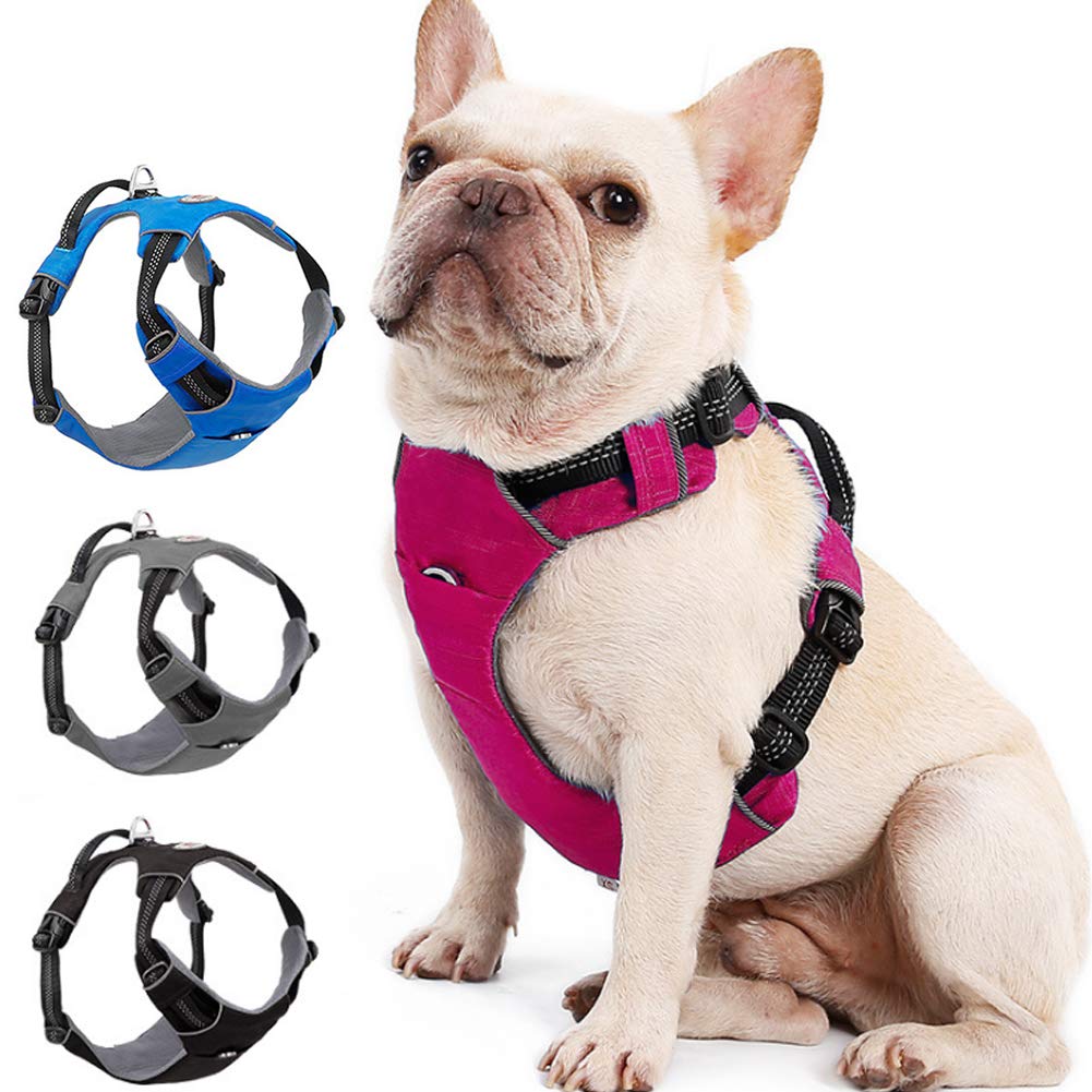 Cablaggio del Cane No Pull Riflettente Regolabile Imbottito Morbido Pet Gilet con Un Allenamento Maniglia, 2 Metal Ganci Guinzaglio per Le Piccole E Grandi Walking Dogs