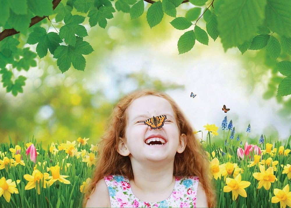 抽象的な自然風景写真 抽象的な自然風景写真 4K Beautiful Nature Relaxation Japan