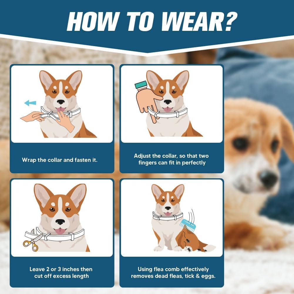 Flea & Tick Collar for Dogs: 8 Month Protection, Water-Resistant, Safe Natural Repellent for All Breeds.Made with Natural Ingredients. (Pack of 4) 3