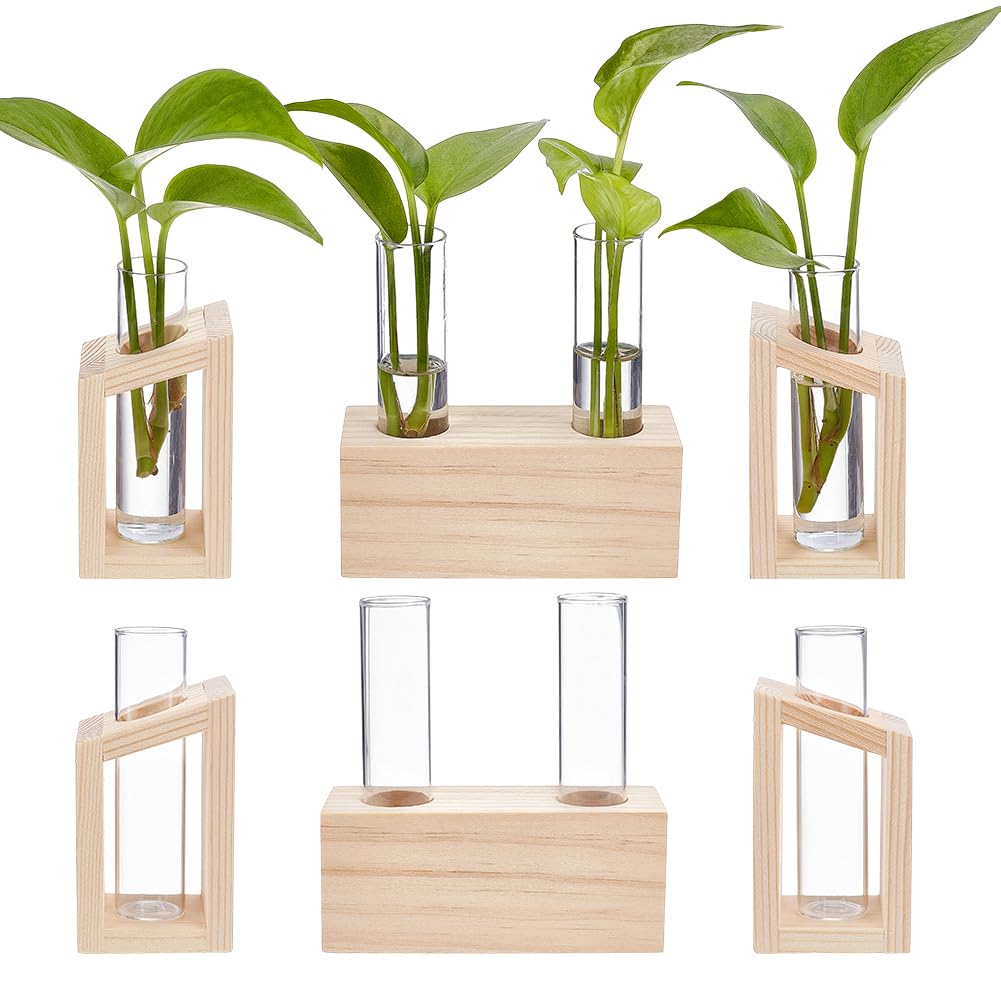 Station de propagation de fleurs en verre ORIGACH et support bois haut de gamme
