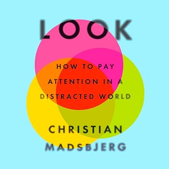 Look Audiobook by Christian Madsbjerg episode artwork