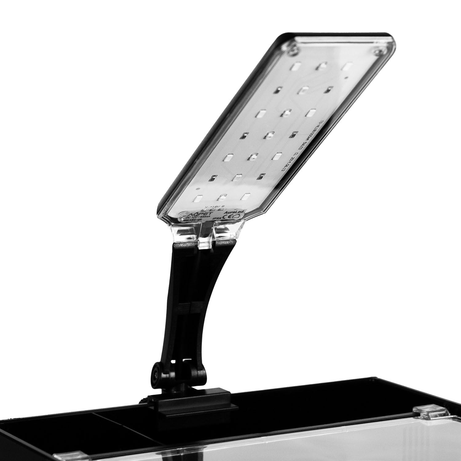 Aqpet Acquario in Vetro per Pesci Tropicali Dolce e Marino Completo di Filtro Illuminazione Led e materiali Filtranti, 19 Litri, 25x27x27 cm