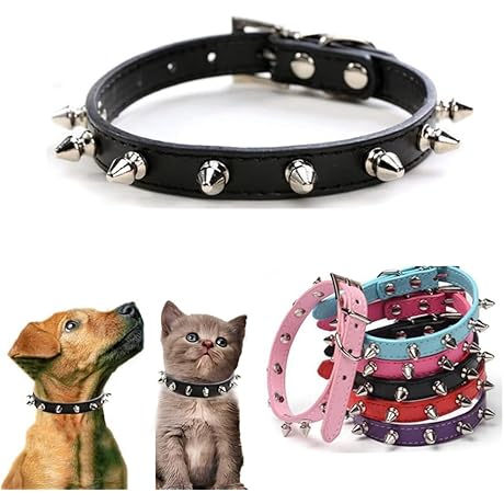 Adjustable Spiked Accent Puppy Collar for Small Medium Breed