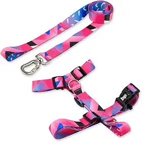 Coleira Peitoral Com Guia Para Cachorro Cães Modelo Tradicional H Tamanho Porte Grande Médio Pequeno (M, Lawn)