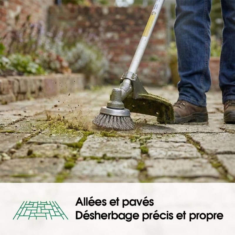Matijardin - Tête brosse désherbage débroussailleuse Master 360 Universelle Ø 230 mm Alésage 20 mm