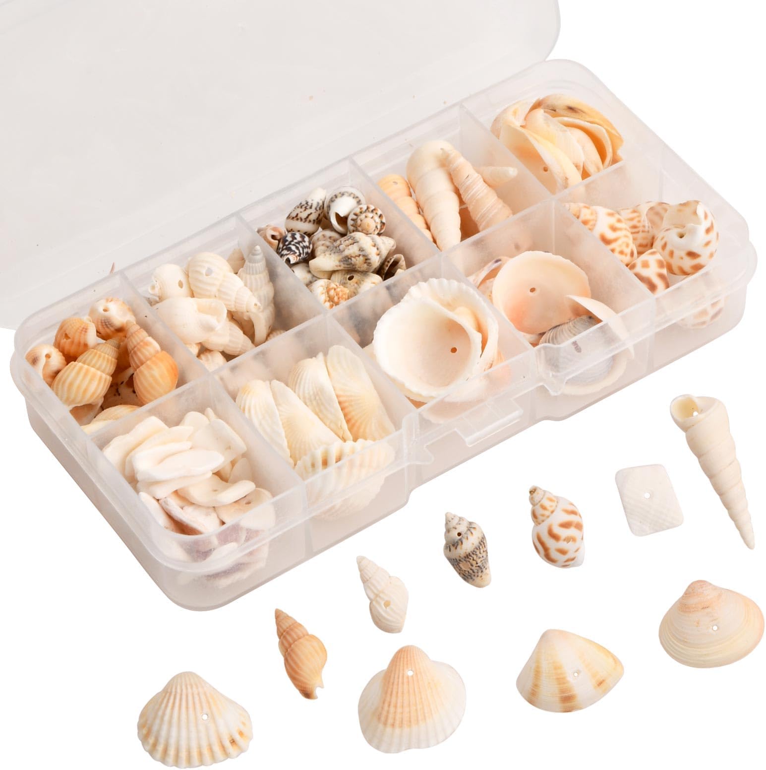 About 90g Natural Conch Shell Beads Ocean Beach Seashells Craft Charms Natural Seashell Charms Ocean Beach Spiral Seashells with Holes for Craft Making