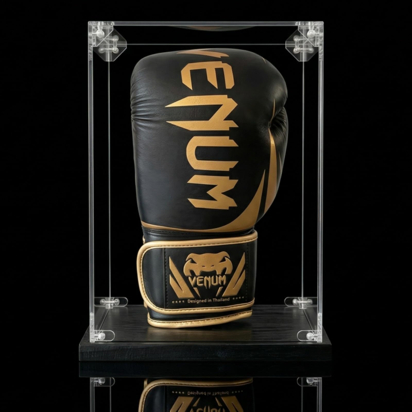 Premium Full Size Display Case (Glove)