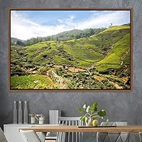 Framed Canvas Wall Art Greenlands Aerial Dark Farmhouse/Country Green Nature Photography Realism Relax/Calm - 16x24 inches