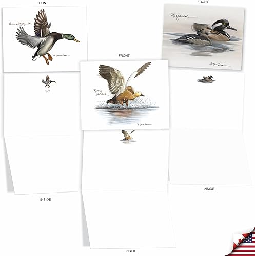 Miniatura 3 de The Best Card Company Juego de 20 tarjetas de notas de patos en blanco surtidos de 4 x 5.12 pulgadas con sobres (10 diseños, 2 de cada uno) para