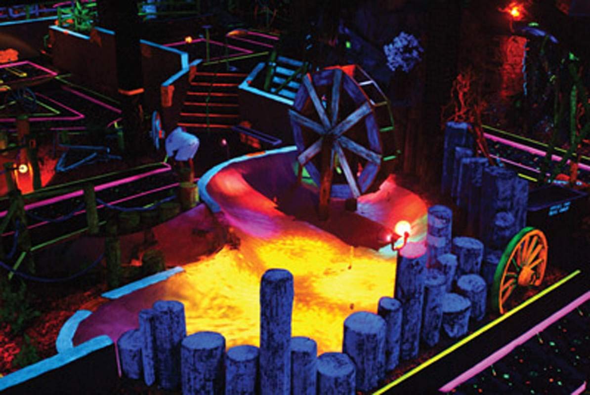 Amazon.co.jp: (2) American DJ Eco UV Bar Plus IR Pro LED ブラック