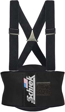 Amazon.com: Schiek The Model 8000 Elastic Back Support Belt - Dual