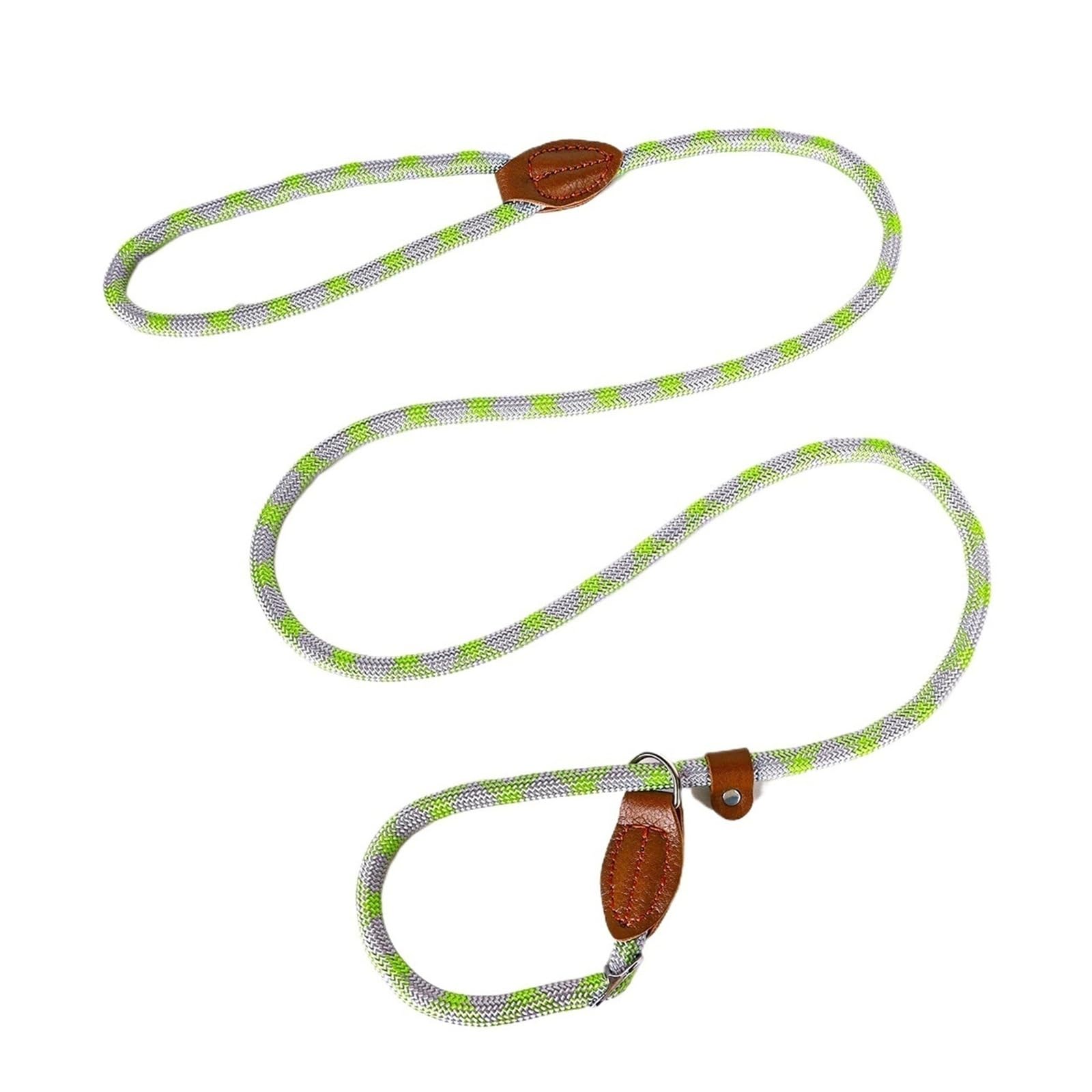 Laisse réglable anti-traction en nylon gris-vert XL pour stopper les écarts