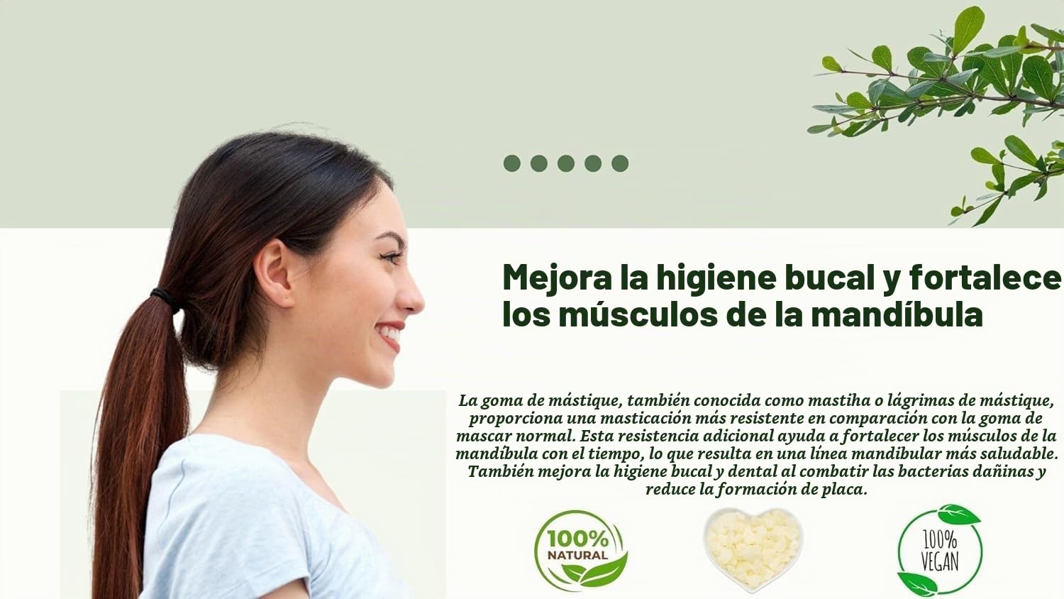 Chios Mastiha Tears Gum Greek 100% Natural 20g