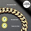 ToBeTrendy-Chain-Dog-Walking-Collar-Gold-Cuban-Link-Dog-Collar-316L-Stainless-Steel-Metal-10mm15mm-Heavy-Duty-Chain-Collar-for-Small-Dogs15MM-18 Trendy Gold Cuban Link Dog Collar - Heavy Duty Chain Collar