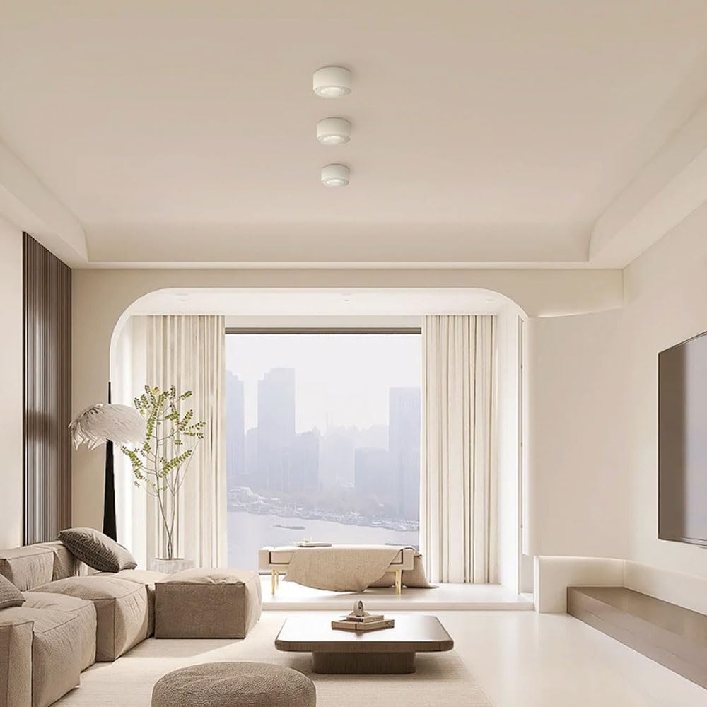Foco de Techo Moderno Ultrafino montado Downlight nórdico Sala de Estar y Dormitorio Pasillo sin Techo Principal LED Tubo de protección Ocular lámpara antideslumbrante en Negrita