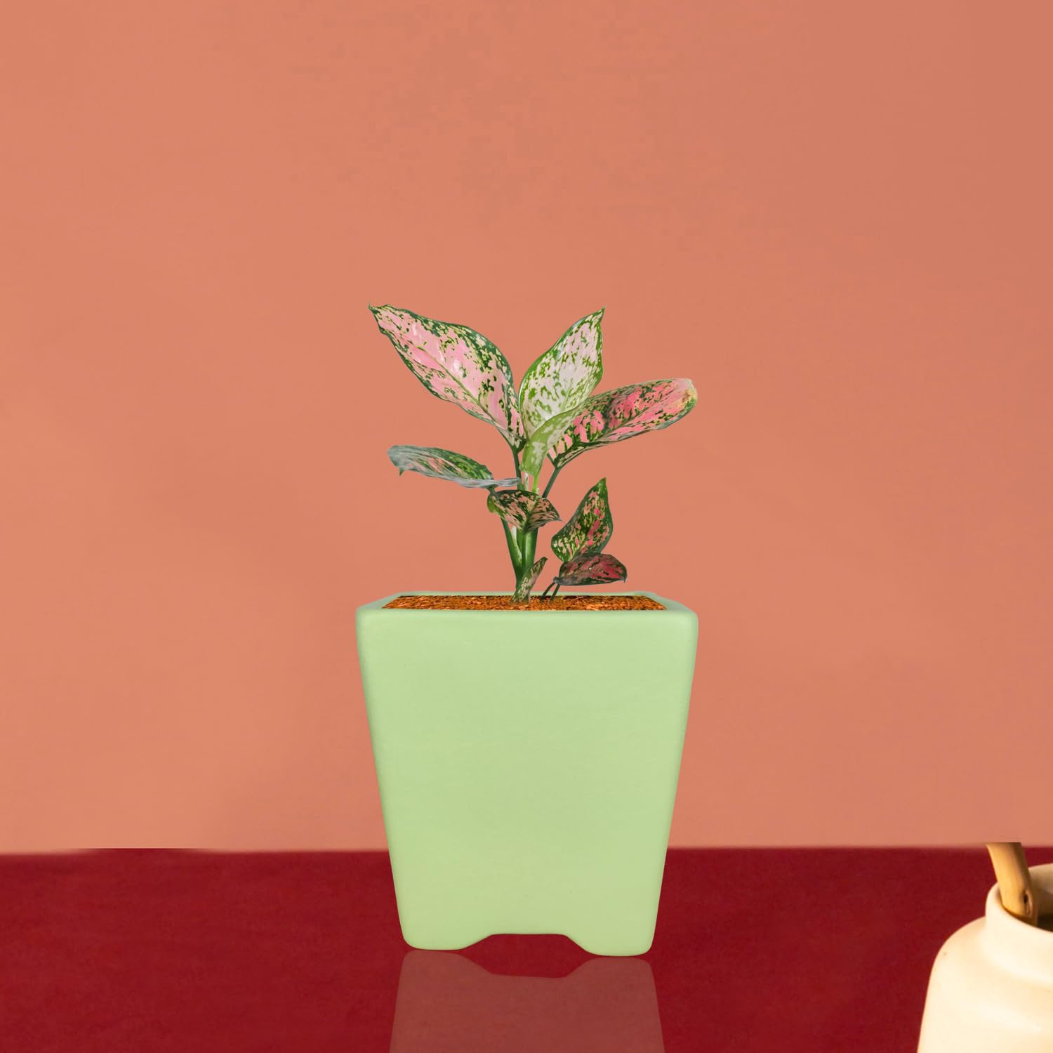 Lasaki Mini Mint Ceramic Pots - Indoor Outdoor Planters -3