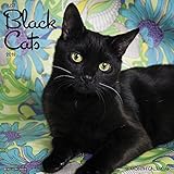 Just Black Cats 2018 Calendar