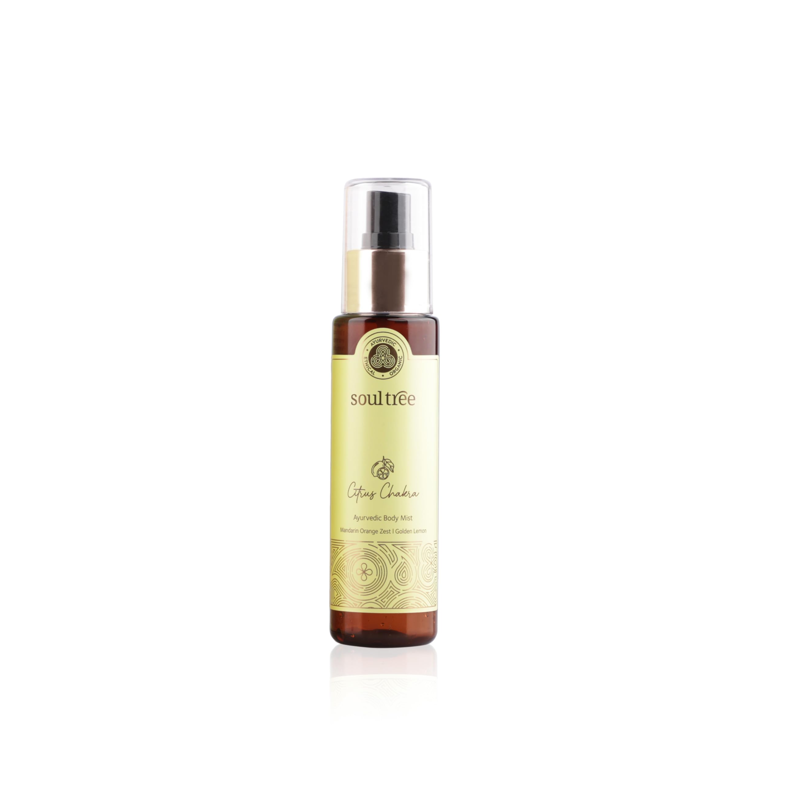SoulTree Citrus Chakra Ayurvedic Body Mist | Fresh Citrus Fragrance with Orange, Lemon & Mandarin | Alcohol-Free Body Spray | 100 ml-image-46
