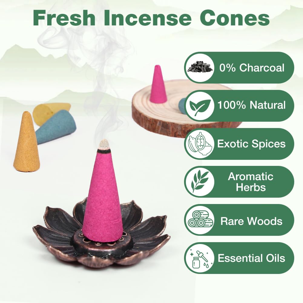 Cônes D'encens 120 Pcs Naturel avec 1 Porte-Encens 6 Parfums Rose Jasmin Osmanthus Océan Bois de Santal Armoise