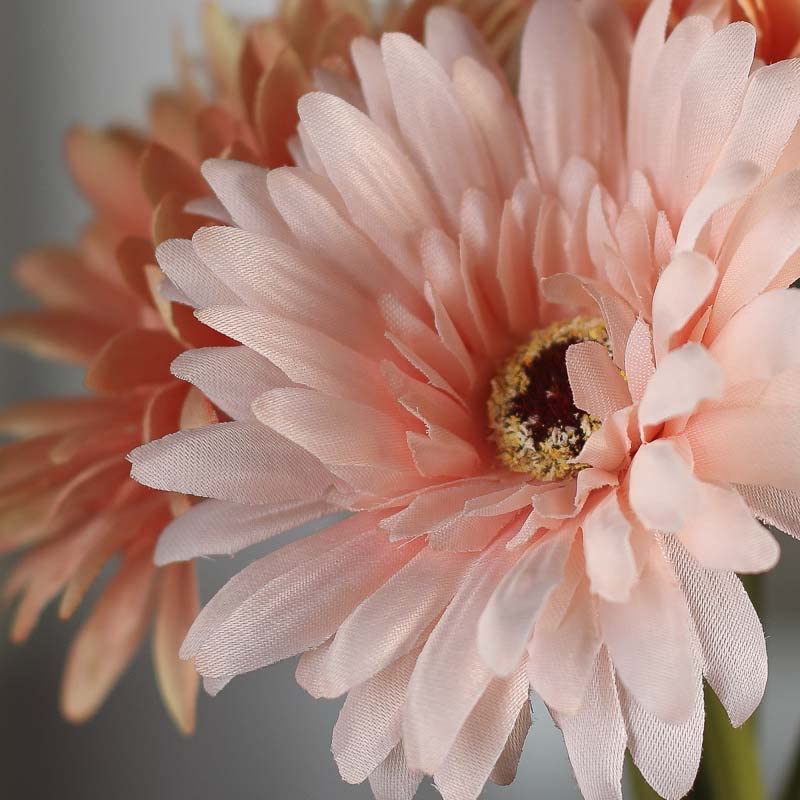 Factory Direct Craft Artificial Spring Peach and Cream Gerbera Daisy Bouquet - Bundle of 7 Stems Poly Silk Daisy Flower Blooms for Floral Arrangements and Home Decor