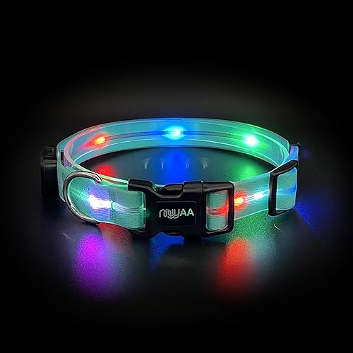 Collares de perro con luz LED, collar de perro con luz LED, collar de perro brillante recargable por USB con impermeable, collar de seguridad