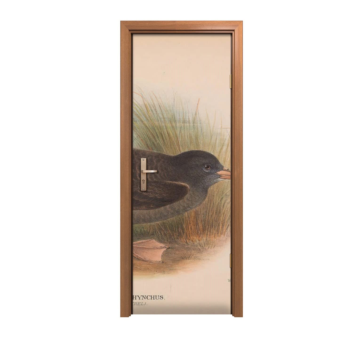 Autocollant de porte 70x200cm décoration murale animaux d'oiseaux et sticker design d'intérieur