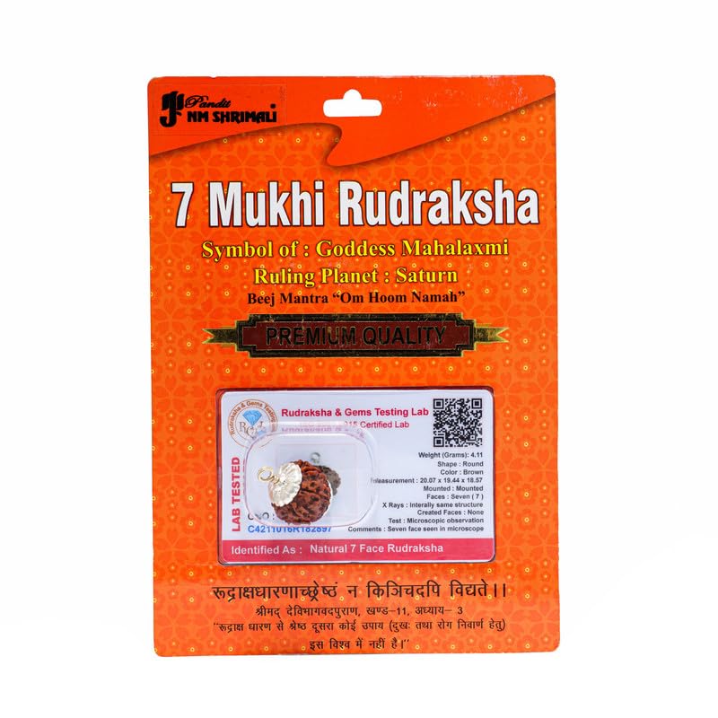 PANDIT NM SHRIMALI 7 Mukhi Rudraksha Nepali/Seven Faced Rudraksha Pendant Original Certified, Brown