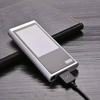 306　斑40個 SONY NW-ZX300 [64GB] 価格比較 - 価格.com