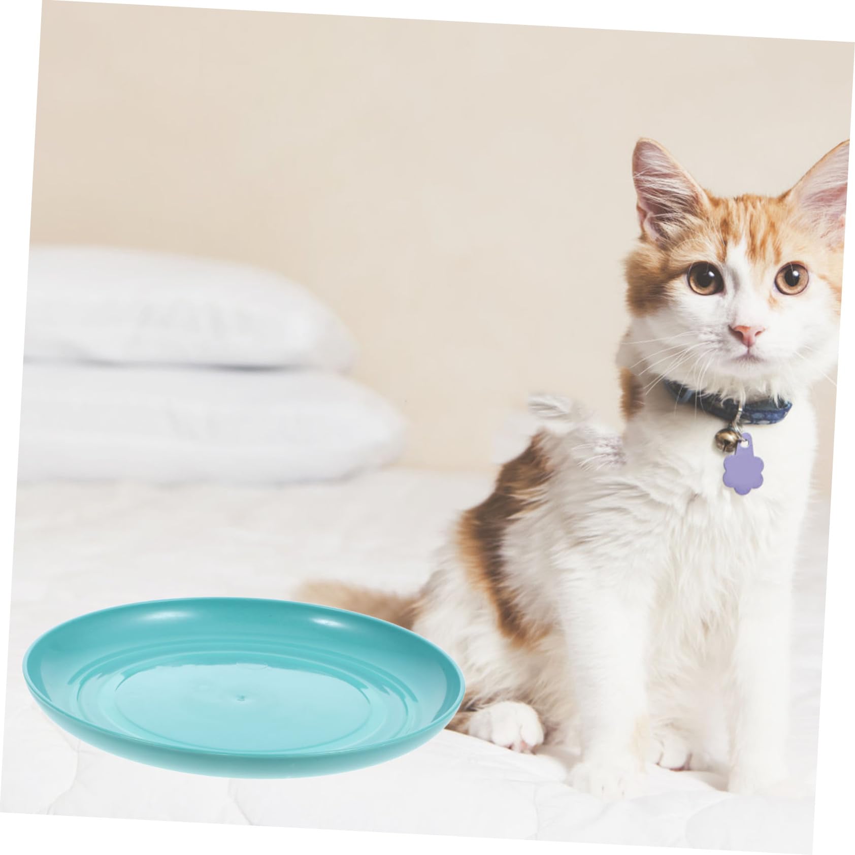 Amazon | Abaodam 8個 セット 猫 フード ボウル ボウル 猫 食器 用 