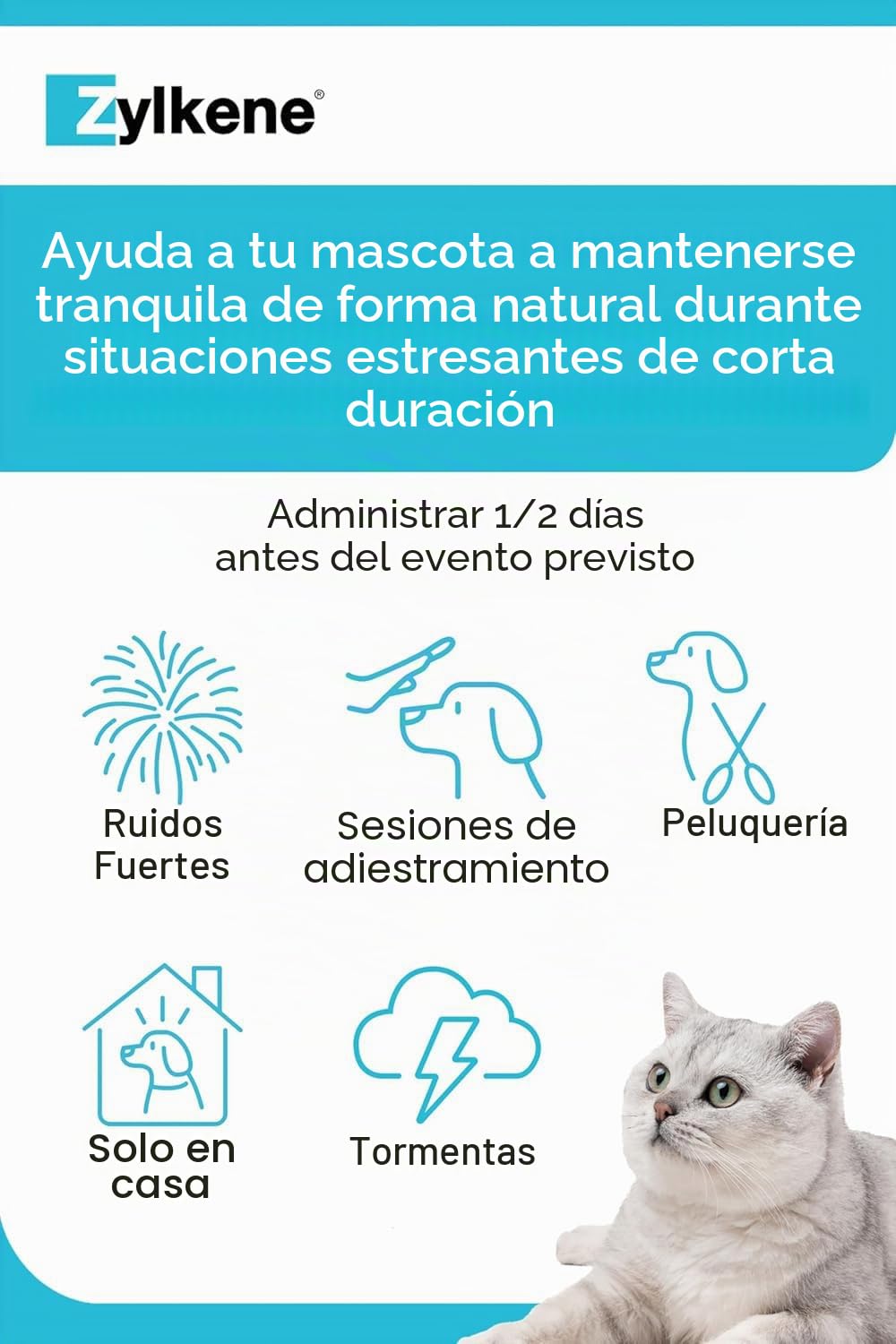 Zylkene Pienso Complementario | Gatos y Perros de hasta 10 kg | Relajante para situaciones de malestar | 100 cápsulas de 75 MG