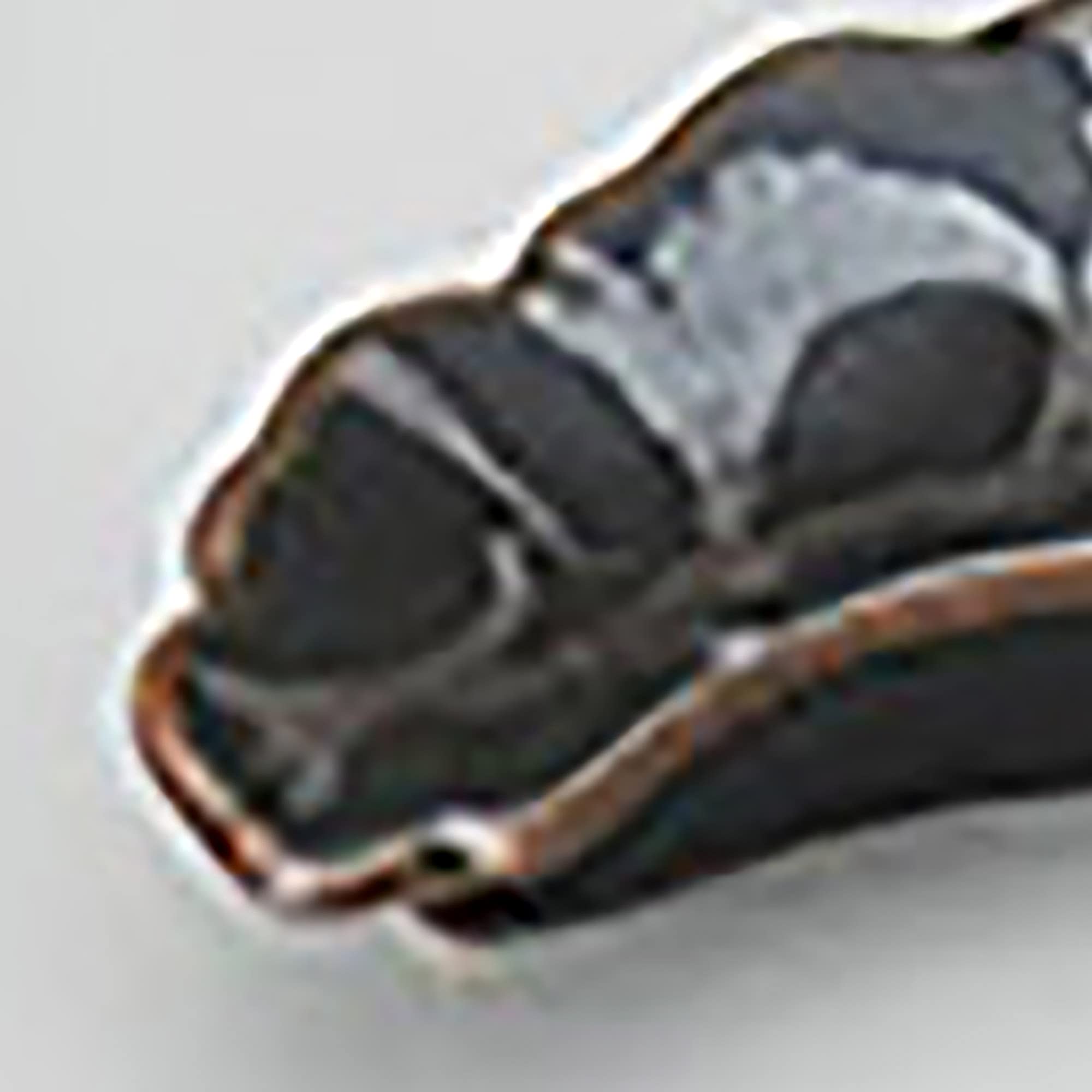 CoolCookware 8 in. Butternut Orange Salt Mill