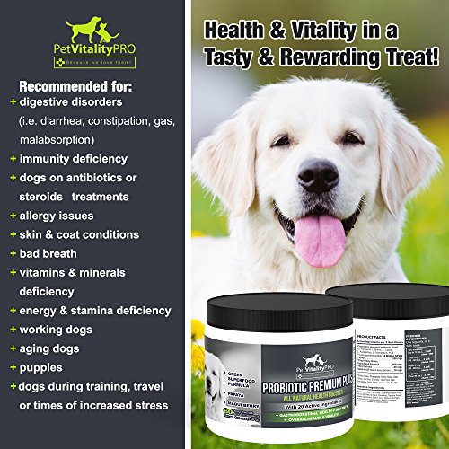PetVitalityPRO Probiotics for Dogs with Natural Digestive Enzymes ● 4 Bill CFUs/2 Soft Chews ● Dog Diarrhea Upset Stomach Yeast Gas Bad Breath Immunity Allergies Skin Itching Hot Spots ● 60 Count - Thumbnail 3