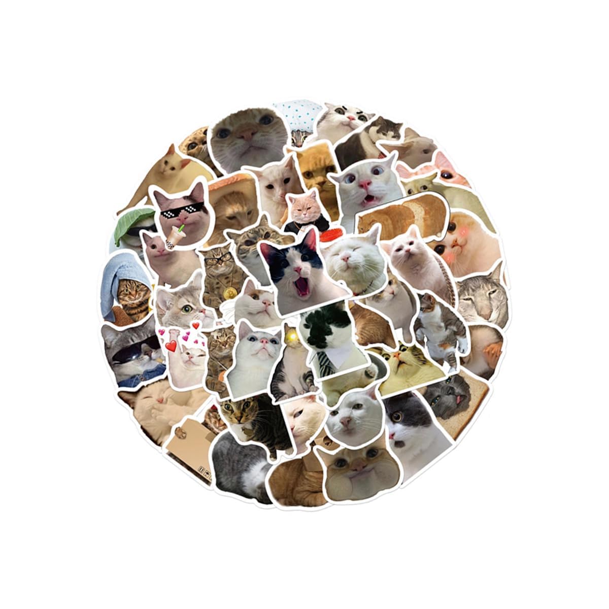 Tabanzhe Funny Cat Stickers Set – 50PCS Waterproof Vinyl Cute Cat Decals Kawaii Kitten Stickers Pack for Cat Lovers, Aesthetic Animal Stickers for Water Bottle Scrapbook Phone Laptop Luggage Decor