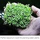 Fulushou 20 Stück Aquarium Pflanzen Mesh Edelstahl Aquarium Moos Wand Net 7.5 * 7.5cm Aquarium Edelstahlgitter für Moos und Wasserpflanzen
