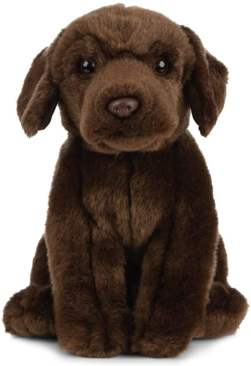 Nature-AN490 Living Nature - Peluche para perro y cachorro, Color marrón oscuro, paquete (Keycraft AN490 , color/modelo surtido