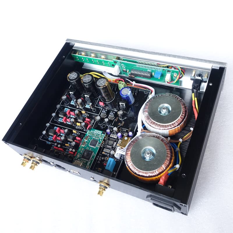 Унутраны view of the WEILIANG Audio DC-200 DAC, revealing the circuit board, dual toroidal transformers, and various electronic components.