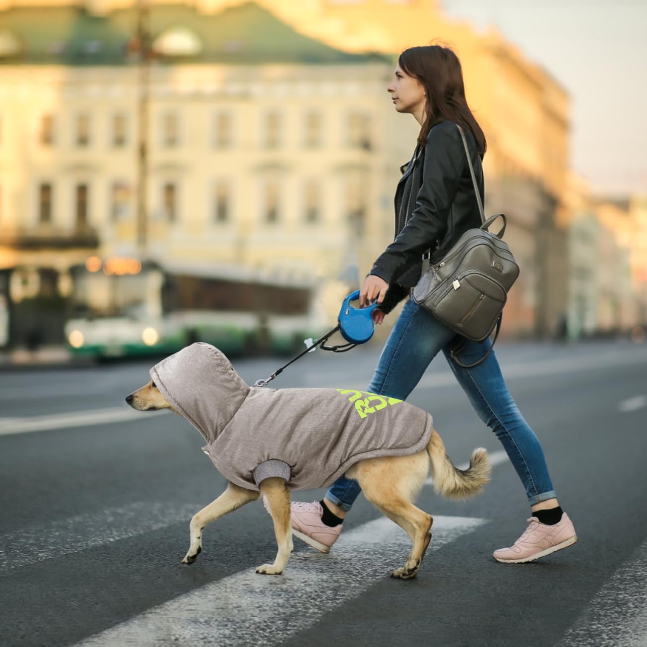 Idepet Cappotto per Cani antivento,Cani Giacca calda invernale Gilet Outdoor Cotton Dog Felpa con Cappuccio Abbigliamento per Cani di Piccola Taglia